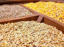 ۹۰ درصد خوراک طیور با نرخ مصوب به دست مرغداران می‌رسد