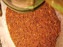 در توزیع نهاده‌های دامی انحراف به وجود آمده و کسی پاسخگو نیست