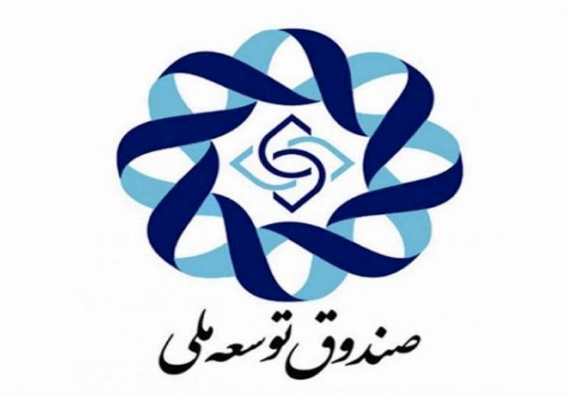 دولت به صندوق توسعه ملی به چشم بانک نگاه میکند