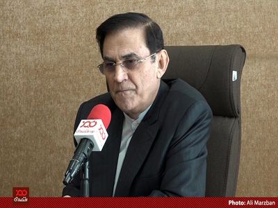 سفرا و سفارتخانه‌های ما در سایر کشورها در حوزه اقتصادی فعال نیستند؛ چرا که می‌ترسند متهم شوند به زد و بند اقتصادی با تجار!