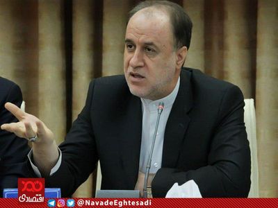 حذف ارز ترجیحی قطعا تورم‌زاست/مردم توان تحمل تورم و فشار جدید را ندارند