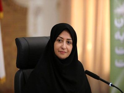 سوخت گازوئیل توزیعی داخل شهر تهران شبهه دار است