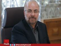 مرغ باید کیلویی ۱۰ هزار تومان باشد/ ما نادان و ناشی به اقتصاد نیستیم