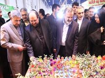 سکوت دولت در برابر مرغ 8500 تومانی!