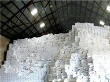 رکورد ۱۲۰ ساله در تولید شکر شکسته شد