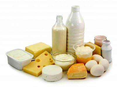 صادرات لبنیات به آمریکا آغاز شد