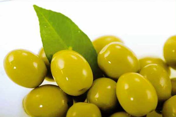 زیتون از 20 شهریور ارزان میشود/ عدهای با جوسازی دنبال واردات زیتون هستند