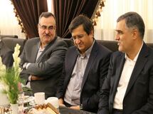 شرکت ضعیف و کم‌بازده را به بیمه مرکزی قالب کردند، همتی سکوت کرد!/ سازمان حسابرسی به پروژه بیمه مرکزی گیر داد!