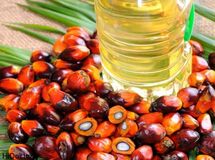 واردات روغن پالم 38 درصد رشد کرد + جدول
