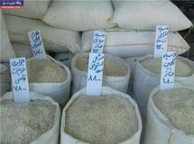 خرید توافقی برنج داخلی تا 15 بهمن ماه ادامه دارد