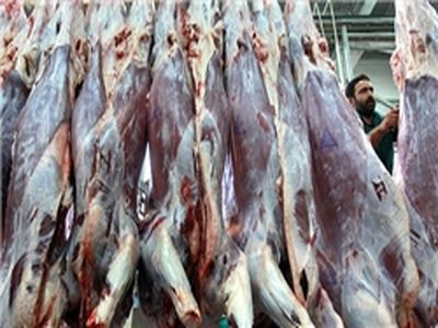 روزانه بین 20 تا 80 تن گوشت گرم و منجمد به کشور وارد می شود