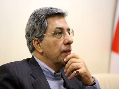 مردم باید گرانی‌ها را تحمل کنند/ دولت هیچ برنامه‌ای برای کنترل قیمت گوجه‌فرنگی ندارد/ تخم مرغ دیگر به قیمت قبلی باز نمی‌گردد