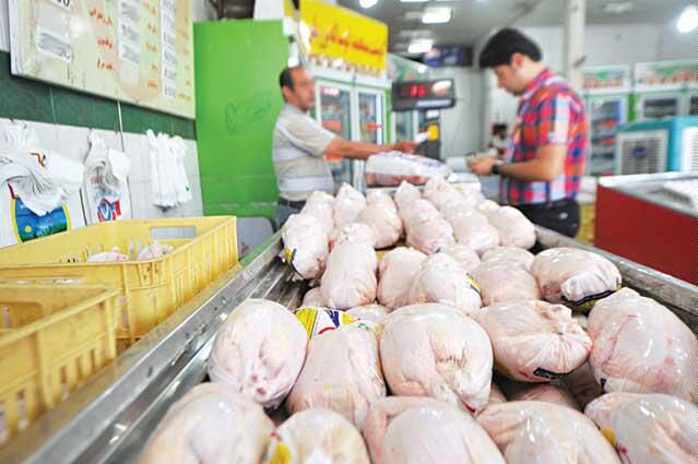 احتمال افزایش  قیمت مرغ از 20 اسفند ماه تقویت شد
