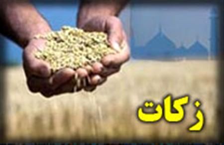 رقم زکات به 3600 میلیارد ریال رسید