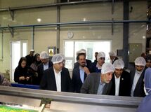 ستاد تنظیم بازار عملا تعطیل است