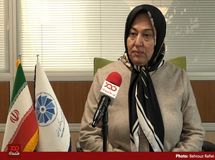 می‌توانیم از طریق گرجستان تحریم‌ها را دور بزنیم ولی دولت عزمی برای این کار ندارد