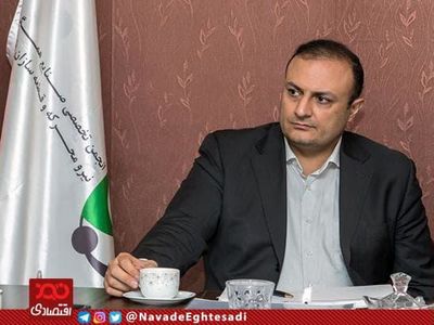  چراغ سازی که برای خودروهای پسابرجامی سرمایه گذاری کرده بود، ورشکست شد