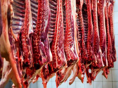 دلالان بیشترین منفعت را از گرانی گوشت می برند