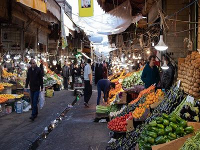  عدم نظارت بر میادین میوه و تره بار دلالی را در بازار میوه تشدید کرده است
