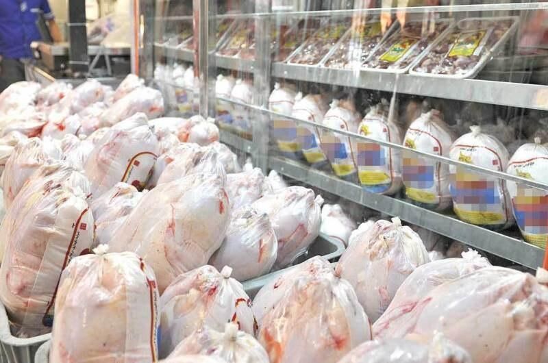 واحدهای مرغ مادر جوجه‌ها را قاچاق کردند
