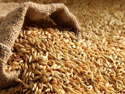 کمبود جو ناشی از عدم تخصیص ارز است