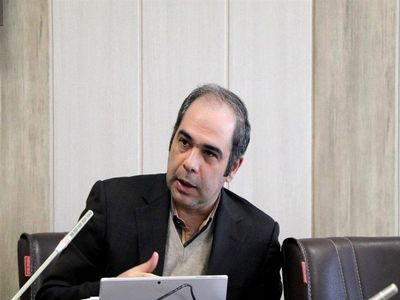 دامنه نامتقارن اصلا مناسب شرایط امروز بازار سرمایه ما نیست