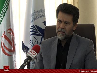 ماهی و میگو در یکی دو سال اخیر ۱۰۰ درصد گران شدند