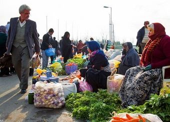  با وجود پرداخت ۱۲ هزار میلیارد تومان تسهیلات صندوق توسعه ملی، شاغلان روستاها ۸۵۰ هزار نفر کاهش یافت