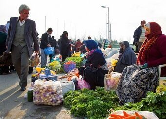  با وجود پرداخت ۱۲ هزار میلیارد تومان تسهیلات صندوق توسعه ملی، شاغلان روستاها ۸۵۰ هزار نفر کاهش یافت