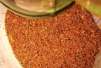 نهاده های دامی با ۳۵ روز تاخیر به دست مرغداران می رسد/ نظارت شود کمبود مرغ نخواهیم داشت