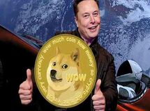 دوج کوین توانایی شکست دادن بیتکوین و اتریوم را دارد!