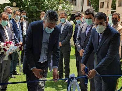 شستا در ایجاد ساختار شفاف و روشن نقش دارد