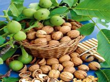 بازار پر از گردوهای اوکراینی و آمریکایی!/ گردوی کیلویی ۱۴۰ هزار تومان، کار دلال‌هاست