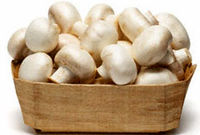  قیمت قارچ خوراکی ۴۰ درصد گران شد