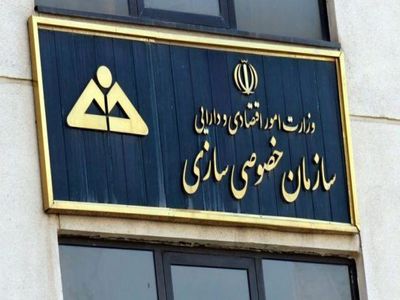 رییس کل سازمان خصوصی سازی منصوب شد