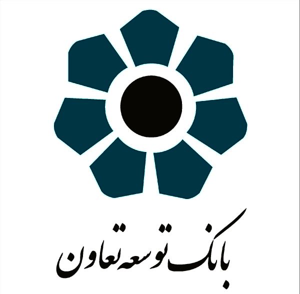 کفایت سرمایه بانک دولتی توسعه تعاون منفی شد