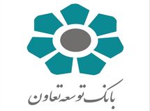 کفایت سرمایه بانک دولتی توسعه تعاون منفی شد