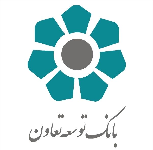 کفایت سرمایه بانک دولتی توسعه تعاون منفی شد