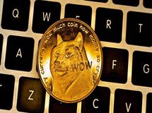 یکهتازی دوج کوین در روز ریزش رمزارزها