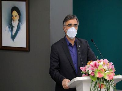 ماشین تولید زیان بانک ملی باید متوقف شود/ بانک ملی ایران زیر آوار بنگاه‌داری در حال خفه شدن است