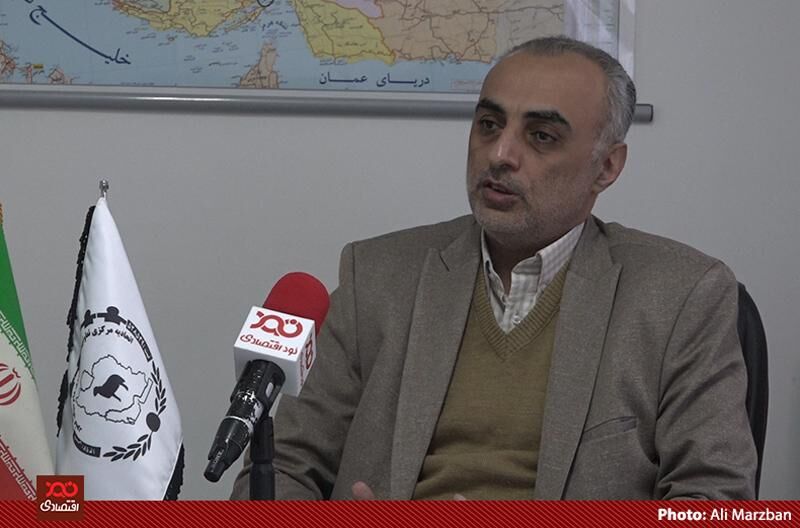  سهمیه خوراک گوسفندها یک سوم شد/ به وزیر جهاد کشاورزی درباره کمبود شدید نهاده نامه نوشتیم