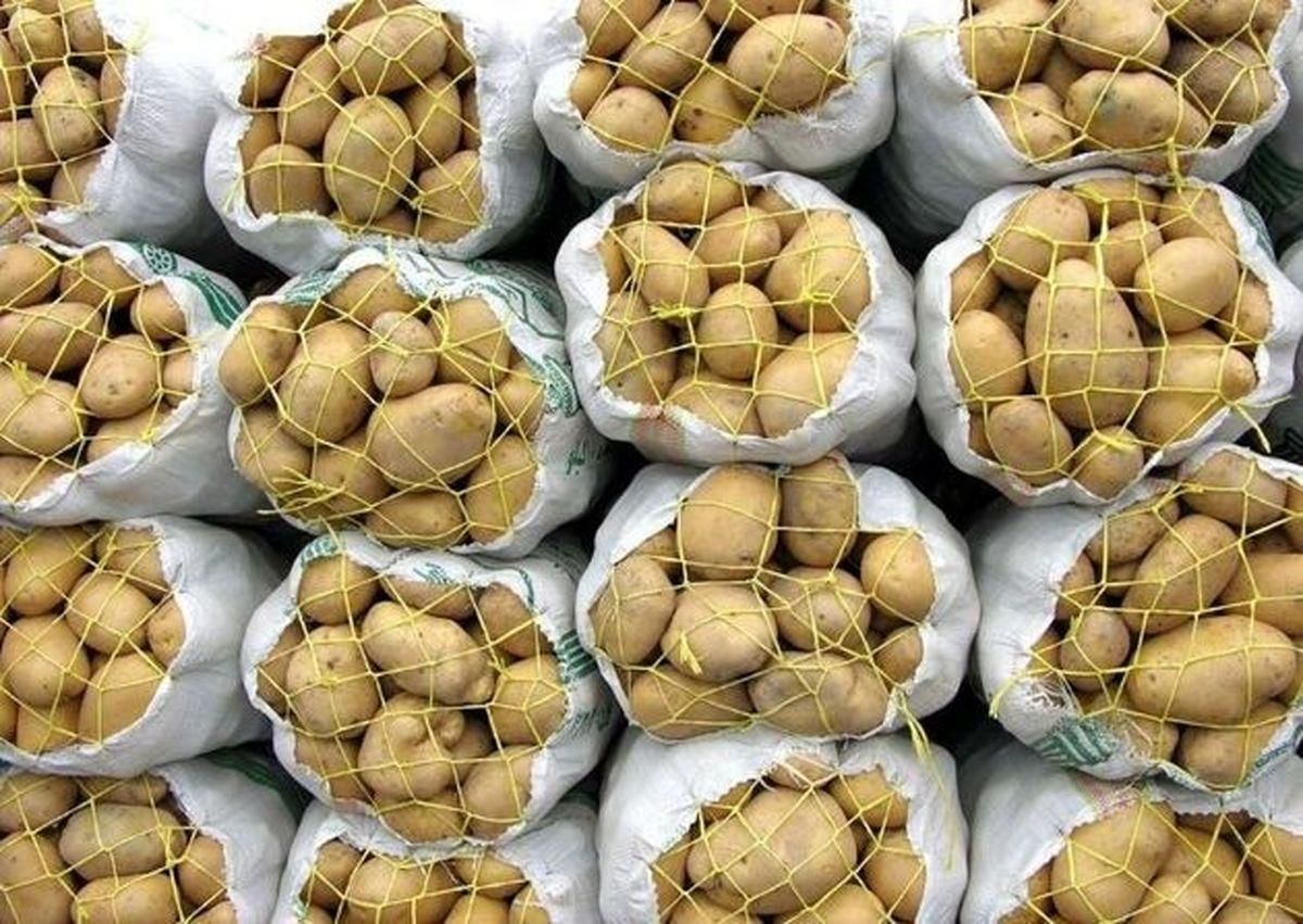 برگشت خوردن سیب زمینیهای صادراتی ایران از ترکمنستان کذب محض است/ اصلا ما به ترکمنستان سیب زمینی صادر نمیکنیم