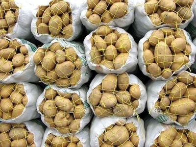  برگشت خوردن سیب زمینی‌های صادراتی ایران از ترکمنستان کذب محض است/ اصلا ما به ترکمنستان سیب زمینی صادر نمی‌کنیم