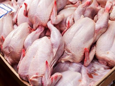 حتی اگر دلار ۴۲۰۰ تومانی حذف نشود، قیمت مرغ سال آینده ۴۵ هزار تومان می‌شود