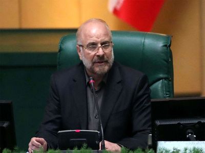 سخنان رئیس اتاق بازرگانی تاثیری روی تحقیق و تفحص نخواهد گذاشت