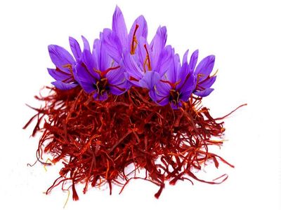  کاهش ۱۷ درصدی صادرات زعفران در سال ۱۴۰۰