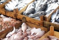 قزل‌آلا نسبت به ۵ ماه پیش ۶۰ درصد گران شد