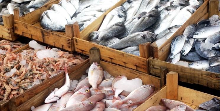 قزل‌آلا نسبت به ۵ ماه پیش ۶۰ درصد گران شد