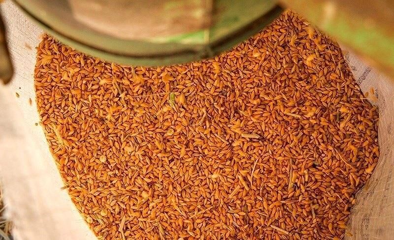 حمایت تعرفه ای از واردکنندگان مانع بروز مشکل در تامین کالاهای اساسی می شود