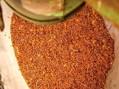 حمایت تعرفه ای از واردکنندگان مانع بروز مشکل در تامین کالاهای اساسی می شود